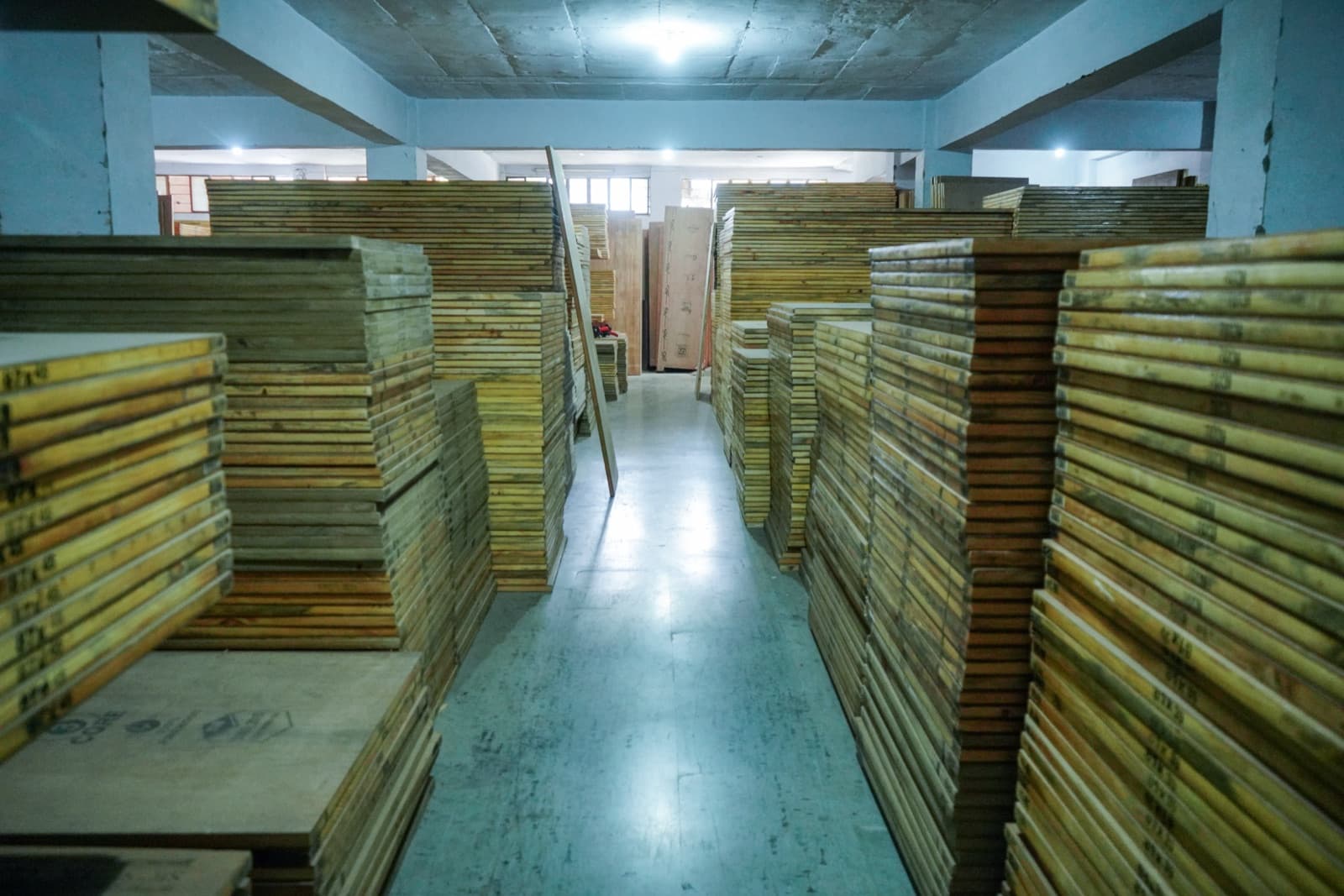 Rajasthan’s Premier Wholesale Plywood & Timber Hub